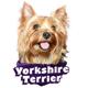 Decal Vinyl Yorkshire Terrier