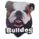 6-inch Vinyl Dog Decal Bulldog Picture