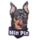 6-inch Vinyl Dog Decal Minature Pinscher Picture