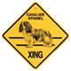 Xing Sign Cavailer Spaniel Plastic 10.5 x 10.5 inches