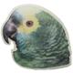 Double Sided Decal Blue Fronted Amazon Parrot