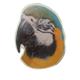 Double Sided Parrot Decal Macaw