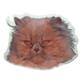 Double Sided Cat Decal Persian Brown