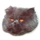 Double Sided Cat Decal Persian Black