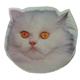 Double Sided Cat Decal Persian White