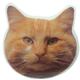 Double Sided Decal Cat Orange Head