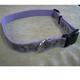Lazer Brite PawBone Dog Collar Large Reflective