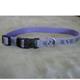 Lazer Brite PawBone Dog Collar Medium Reflective