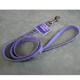 Lazer Brite PawBone Dog Lead 5/8-inch x 4-Foot Reflective