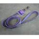 Lazer Brite PawBone Dog Lead 5/8-inch x 6-Foot Reflective