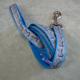 Lazer Brite Bones Lead Dog Lead 1-inch x 6-Foot Reflective