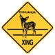 Xing Sign Chihuahua Short Coat Plastic 10.5 x 10.5 inches
