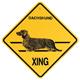 Xing Sign Dachshund Long Hair Plastic 10.5 x 10.5 inches