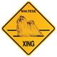 Xing Sign Maltese Plastic 10.5 x 10.5 inches