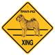 Xing Sign Shar-Pei Plastic 10.5 x 10.5 inches