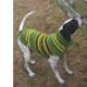 Handmade Dog Sweater Wool Green Rugby Large