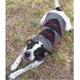 Handmade Dog Sweater Wool Gray Argyle XXSmall
