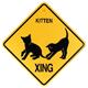 Crossing Sign Kittens Xing