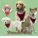 Velvet Santa Dog Bandanna Small