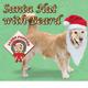 Santa Dog Hat with Beard