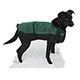 Dog Winter Blanket Coat Green Xsmall