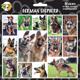 Arf Art Dog Sticker Pack German Shepherd