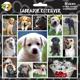 Arf Art Dog Sticker Pack Labrador Retriever