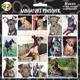 Arf Art Dog Sticker Pack Miniature Pinscher