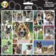 Arf Art Dog Sticker Pack Akita