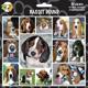 Arf Art Dog Sticker Pack Basset Hound