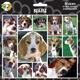 Arf Art Dog Sticker Pack Beagle