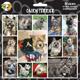 Arf Art Dog Sticker Pack Cairn Terrier