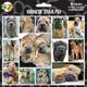 Arf Art Dog Sticker Pack Chinese Shar Pei