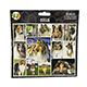 Arf Art Dog Sticker Pack Collie