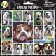 Arf Art Dog Sticker Pack English Bulldog