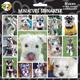 Arf Art Dog Sticker Pack Miniature Schnauzer