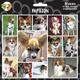 Arf Art Dog Sticker Pack Papillon