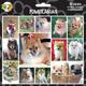 Arf Art Dog Sticker Pack Pomeranian