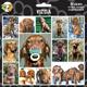 Arf Art Dog Sticker Pack Vizsla