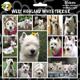 Arf Art Dog Sticker Pack West Highland White Terrier