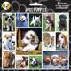 Arf Art Dog Sticker Pack Just Puppies