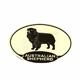 Euro Style Decal Australian Shepherd