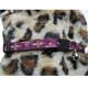 Lupine&reg; Nylon Cat Collar Royal Gold w/Bell