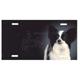 Aluminum Dog Breed License Plate with Papillon