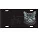 Aluminum Cat Breed License Plate with Grey Tabby