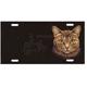 Aluminum Cat Breed License Plate with Orange Tabby Cat
