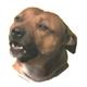 Double Sided Dog Decal Staffordshire Bull Terrier Red