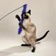 Zanies Maribou Feather Cat Pole Toy Assorted Colors