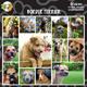 Arf Art Dog Sticker Pack Border Terrier
