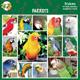 Arf Art Dog Sticker Pack Parrots